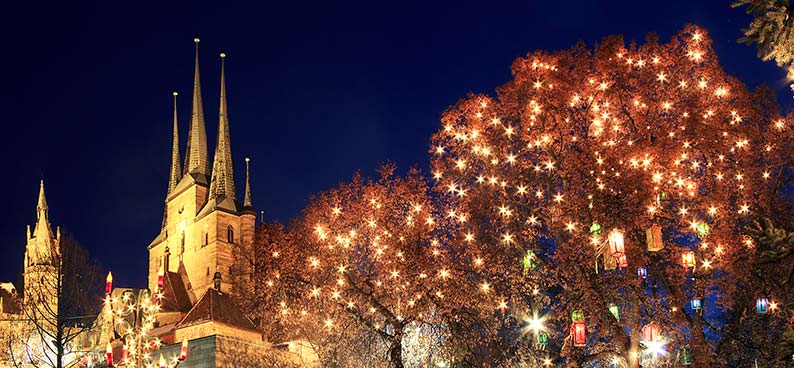 Lichterbaum in Erfurt