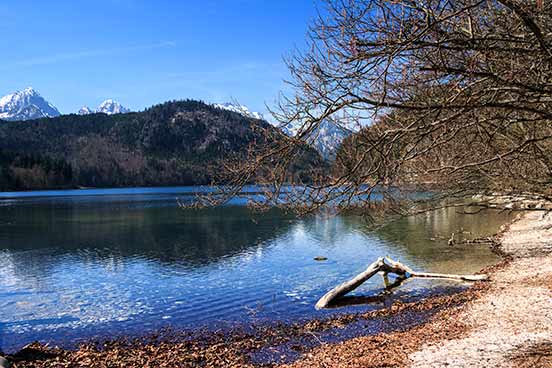 Der Alpsee
