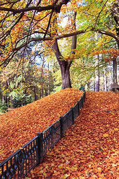 Herbstlicher Park