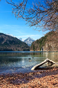 In den Alpen