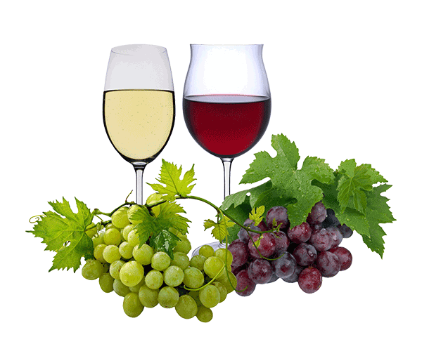 roter und weisser Wein