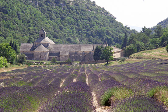 Kloster Senanque