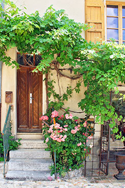Provence Stillleben