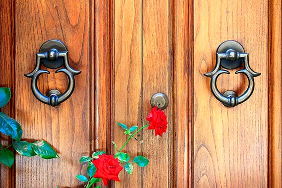 Rose und Holztür