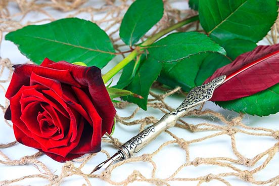 Schreibfeder und Rose